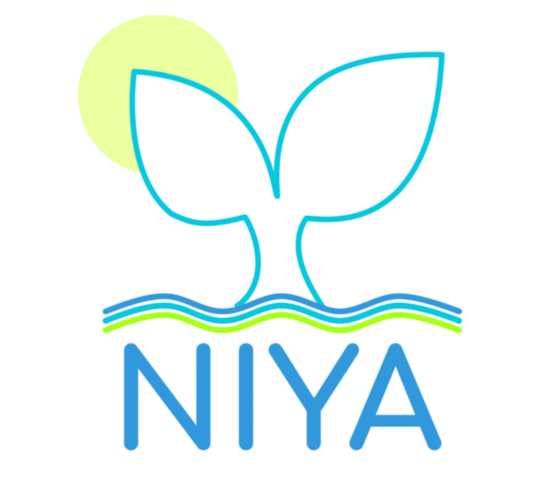 NIYA Well-being Solutions
