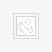 Business Consulting & Professional Services